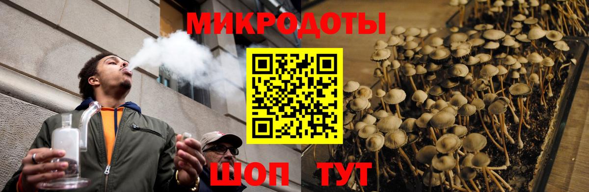 Галлюциногенные грибы мухоморы Черногорск